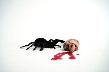 Black spider figure placed beside small organ with red blood drops on white background, creating...