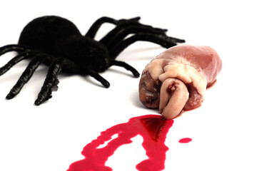 Black spider figure placed beside small organ with red blood drops on white background, creating eerie symbolic composition for horror, Halloween, or dark conceptual art.