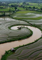 Spiral rice paddies landscape