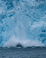 Aialik Glacier face calving ice bergs into the bay with seabirds flying in front of the mountainous spray of the splash provides perspective on its size