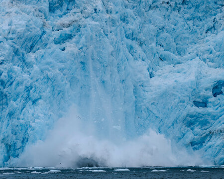Aialik Glacier face calving ice bergs into the bay with seabirds flying in front of the mountainous spray of the splash provides perspective on its size