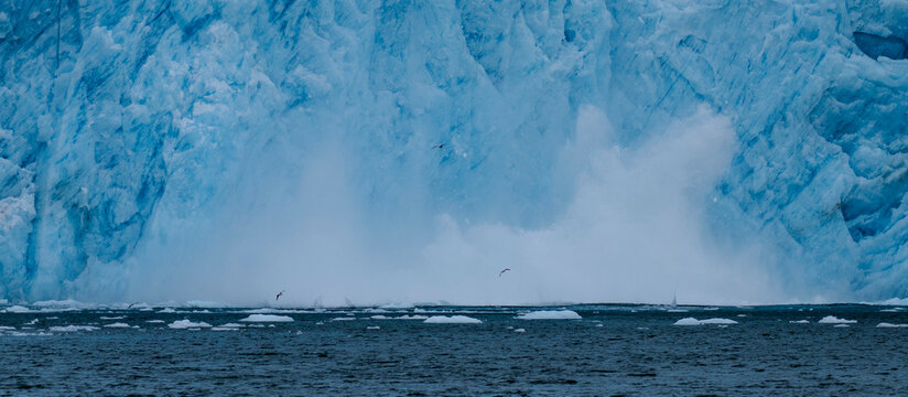 Aialik Glacier face calving ice bergs into the bay with seabirds flying in front of the mountainous spray of the splash provides perspective on its size