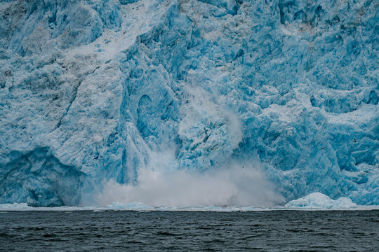 Aialik Glacier face calving ice bergs into the bay with seabirds flying in front of the mountainous spray of the splash provides perspective on its size