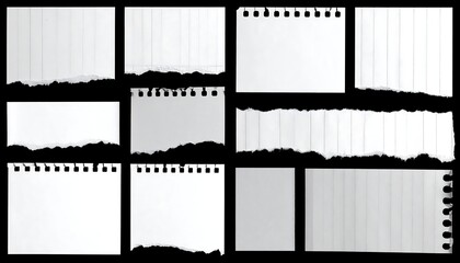 Collection of ripped notebook pages