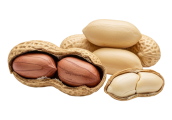 Extreme close-up: rugged, torn peanut pod revealing plump brown kernels, alongside split shelled peanuts with creamy interiors on transparent, raking light. Concept of natural beauty and textural