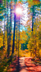 Shadowy & Sunlit Dirt Path or Trail in a Forest of Tall Trees w/Sun Beaming or Shining Through in Autumn or Fall (filtered photo w/Texture) w/Orange, Gold, & Red