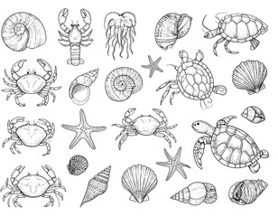 Fototapeta premium Hand-drawn marine life illustrations