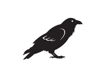 Obraz premium Elegant raven silhouette standing watchful and still against a clean backdrop