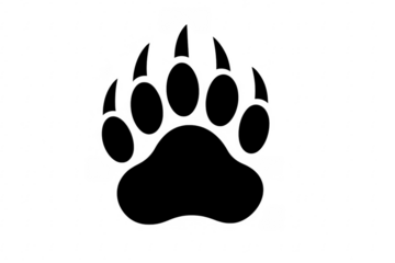 Bear paw print icon graphic on transparent background