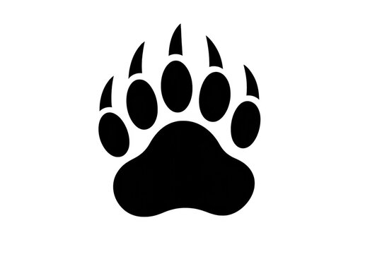 Bear paw print icon graphic on transparent background