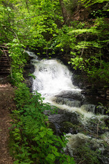 Springtime at 39 foot tall Mohican Falls in Ricketts Glen State Park in Pennsylvania.