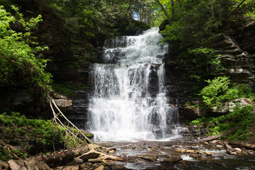 Ganoga Falls, the tallest waterfall at  94 feet in Ricketts Glen State Park, Pennsylvania, in the springtime.