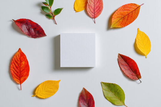 White square copy space surrounded by a circle of colorful autumn leaves on a clean white background, flat lay.