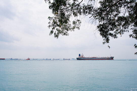 A large cargo ship sails on a calm sea under a cloudy sky, framed by tree branches.