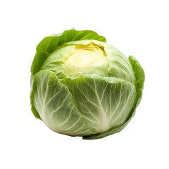Fototapeta premium cabbage isolated on white background