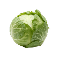 cabbage isolated on white background