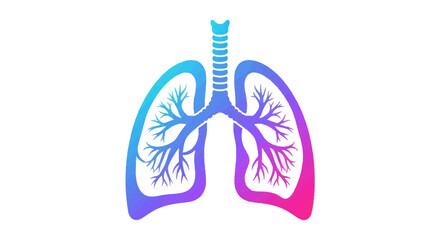 Obraz premium Vibrant Gradient Human Lungs Illustration with Trachea and Bronchial Tree.