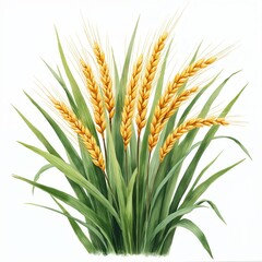 Fototapeta premium Watercolor illustration of ripe golden wheat stalks with green leaves. This artwork is isolated on white, ideal for agricultural themes, food, or natural elements designs.