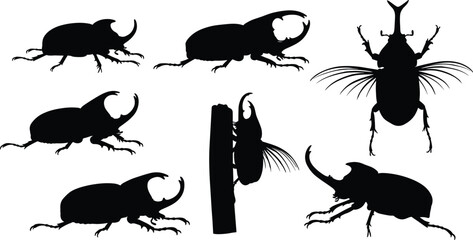 Rhinoceros beetle silhouette, insect anatomy, black vector art, horned beetle pose, nature sketch, entomology reference
