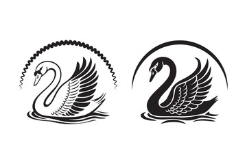 Obraz premium Two elegant black and white swan silhouettes in water