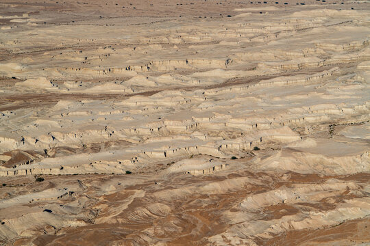 Jerusalem, Israel - 31 October 2019: View of the undulating, arid landscape near Jerusalem, a tapestry of beige and brown earth sculpted by time and weather, punctuated by sparse vegetation.