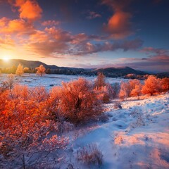 Evening landscape with beautiful natural winter snow, gorgeous and wild in autumn colors - red orange yellow colour 