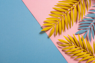 Composition of colorful painted palm leaves on contrasting pink and blue backdrop