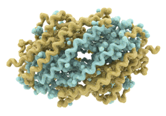 Complex protein structure isolated on transparent background, molecular biology research model