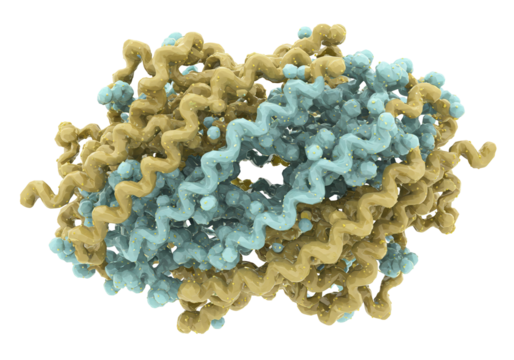 Complex protein structure isolated on transparent background, molecular biology research model