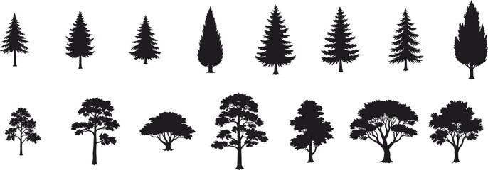 Tree silhouettes, coniferous and deciduous, forest elements, botanical shapes, nature icons, fir spruce oak elm maple, landscape design, vector illustration