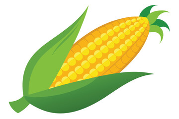 Obraz premium Fresh corn on the cob features vibrant yellow kernels and bright green husks