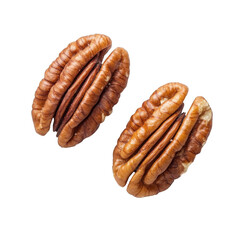 Two richly colored pecan halves isolated on a solid surface ideal for baking and snacks
