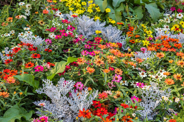 a vibrant and diverse flower bed with a rich mix of colors and textures