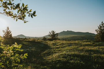 landscape with trees