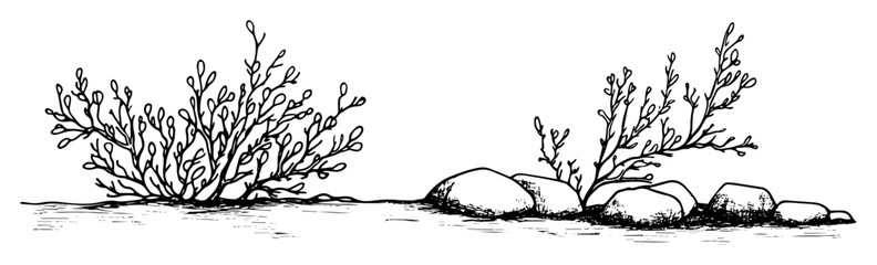 Obraz premium hand drawn bush and stones landscape element