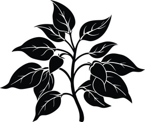 Pepper Plant Silhouette | Garden Vegetable Vector Illustration