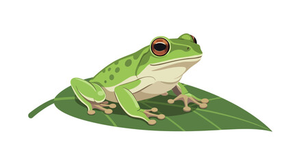Obraz premium Leafy Green Frog Illustration