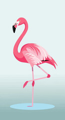 Fototapeta premium Pink Flamingo Standing on One Leg