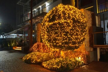 A restaurant outer wall and tree decorated for Christmas with lights