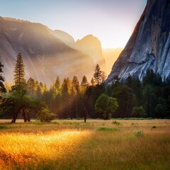 Beautiful view of the meadow and amazing trees somewhere famous. sun set in yosemite valley; this shot is from glacier 