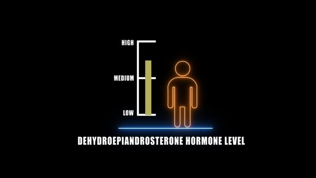 dehydroepiandrosterone Hormonal health good level on high measure scale. Instrument scale with silhouette of a neon man.