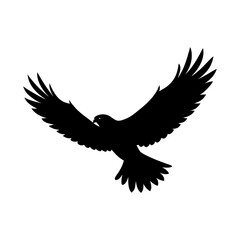 Obraz premium a soaring hawk silhouette on a white background