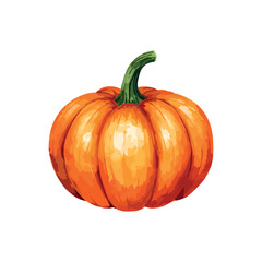 Pumpkin painting watercolor illustration