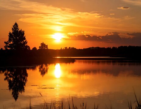 Calm lake reflecting a vibrant sunset, silhouetted trees - Powered by Adobe