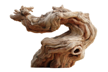 Intricate driftwood sculpture with complex patterns on black background, cut out