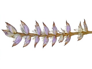 Delicate Purple Flower Stem Botanical Closeup