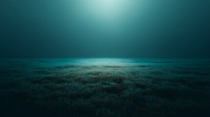 Obraz premium Minimalist underwater scene of a dark, low-visibility ocean floor covered in ghostly, indistinct grass or fog, illuminated by a single, distant overhead light, conveying depth and mystery. 