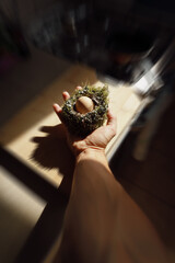 A man's hand holding a bird's nest with an egg inside, illuminated by the morning sun.