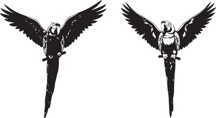Parrot Pair with Spread Wings, Black and White Vector Illustration Featuring Symmetrical Tropical Birds on Perch