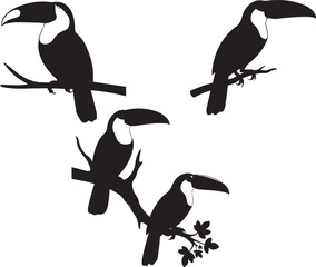 Toucan Silhouette Set, Black and White Vector Illustration of Four Tropical Birds on Branches with Leaves and Flowers